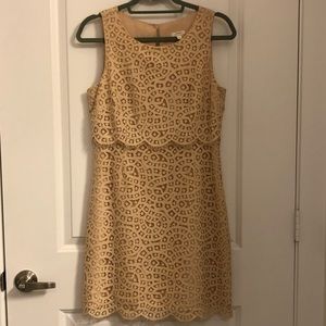 Lace light Pink/Peach Dress